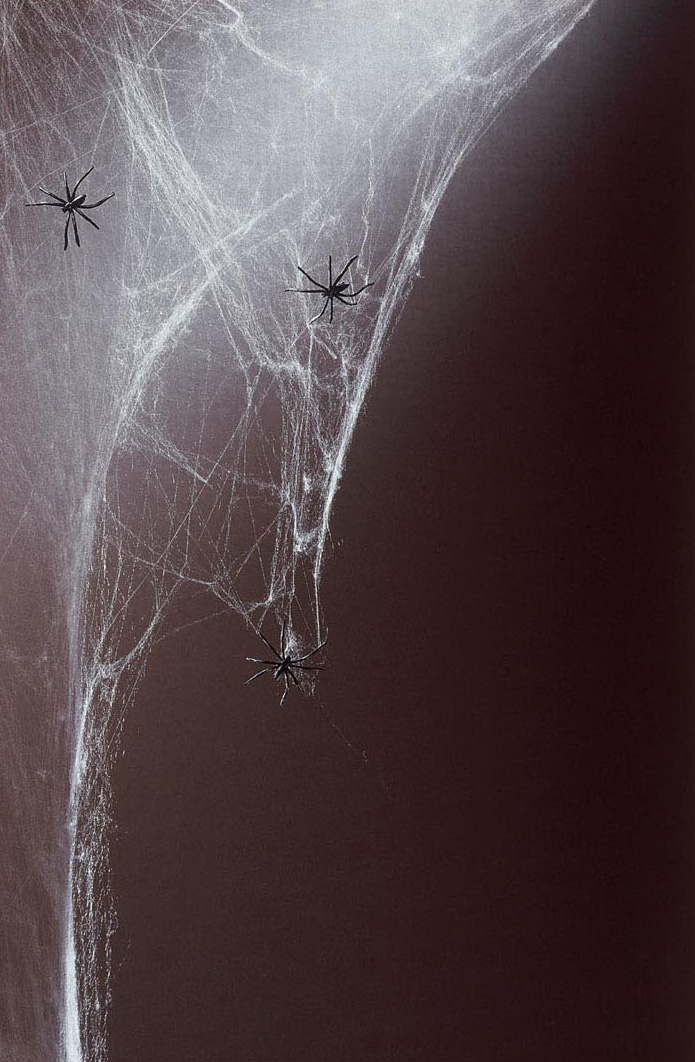 Toile d'araignée blanche 500g Halloween