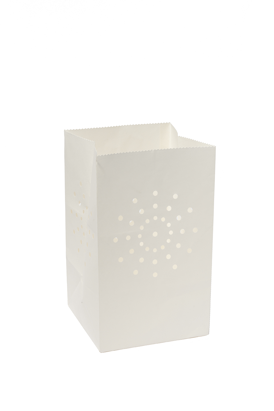 5 Lanternes de sol blanches