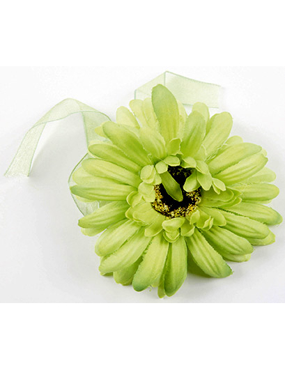 Sachet de 2 marguerites anis