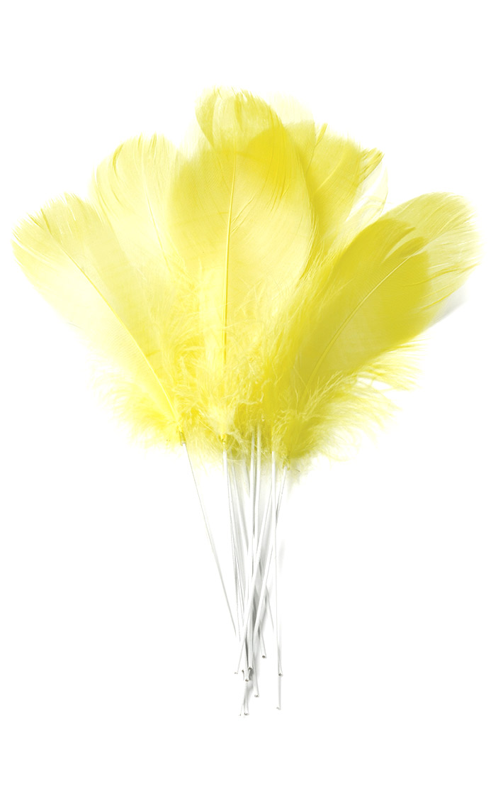 12 Plumes jaunes sur pic