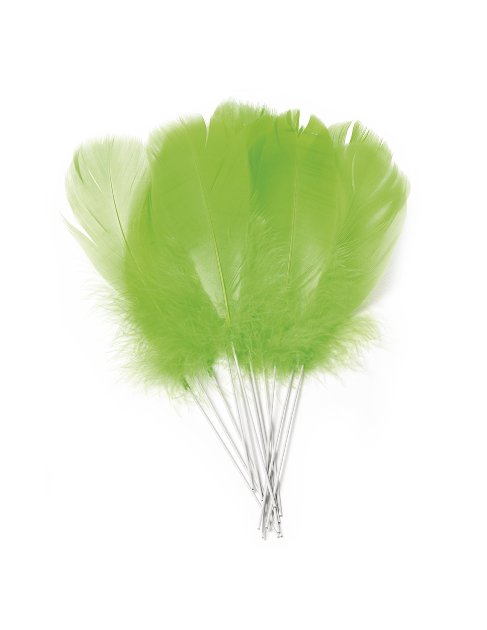 12 Plumes anis sur pic