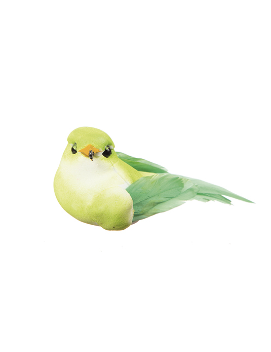 3 Petits oiseaux plume anis