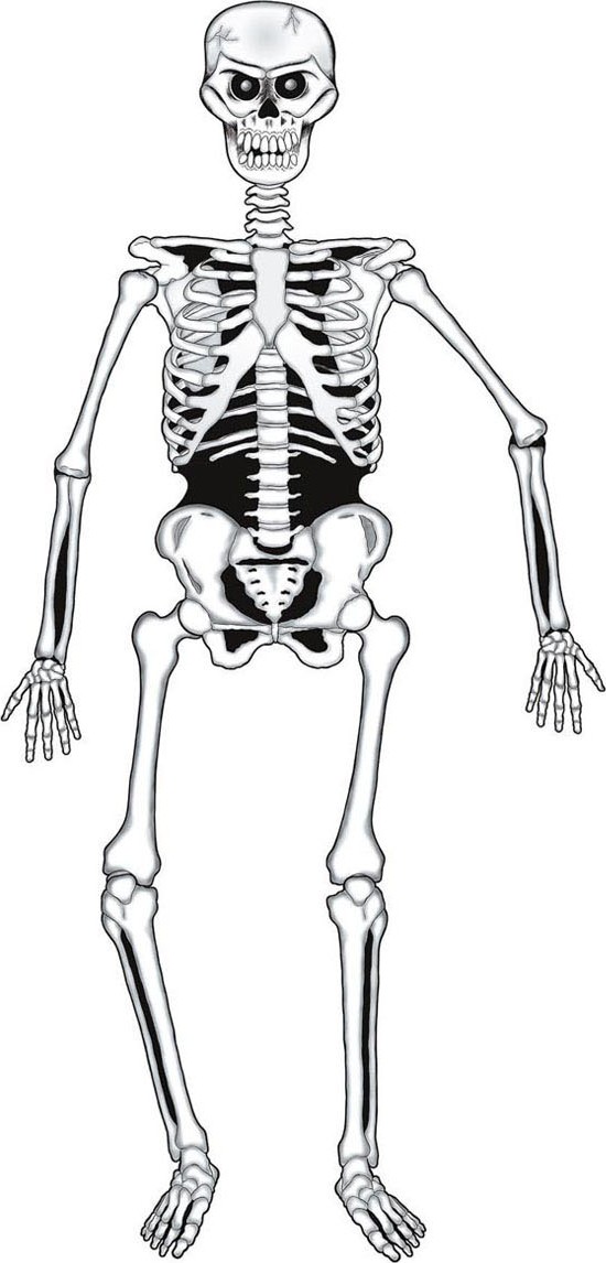 Squelette articulé en carton Halloween 140 cm
