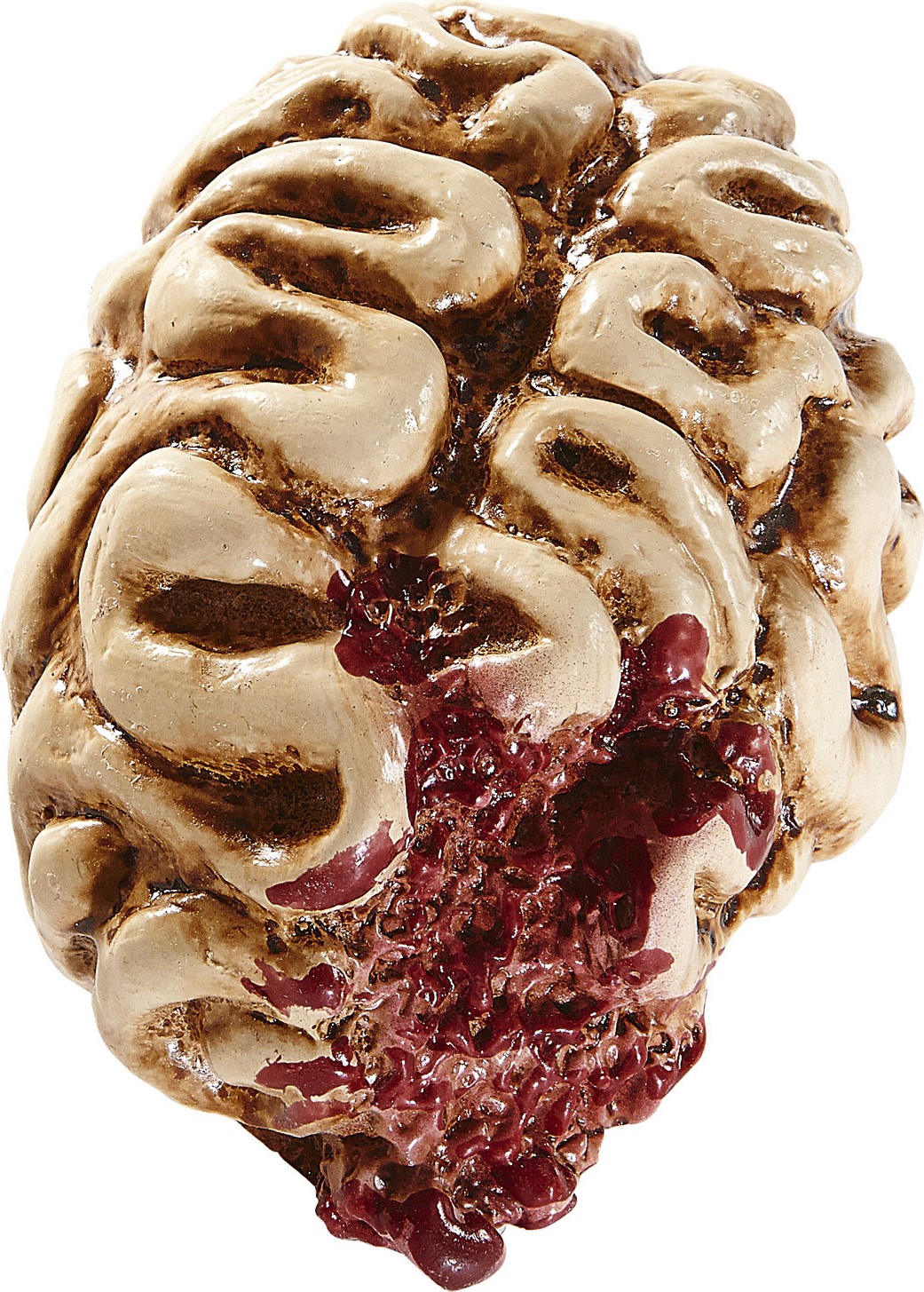 Cerveau 16 cm halloween