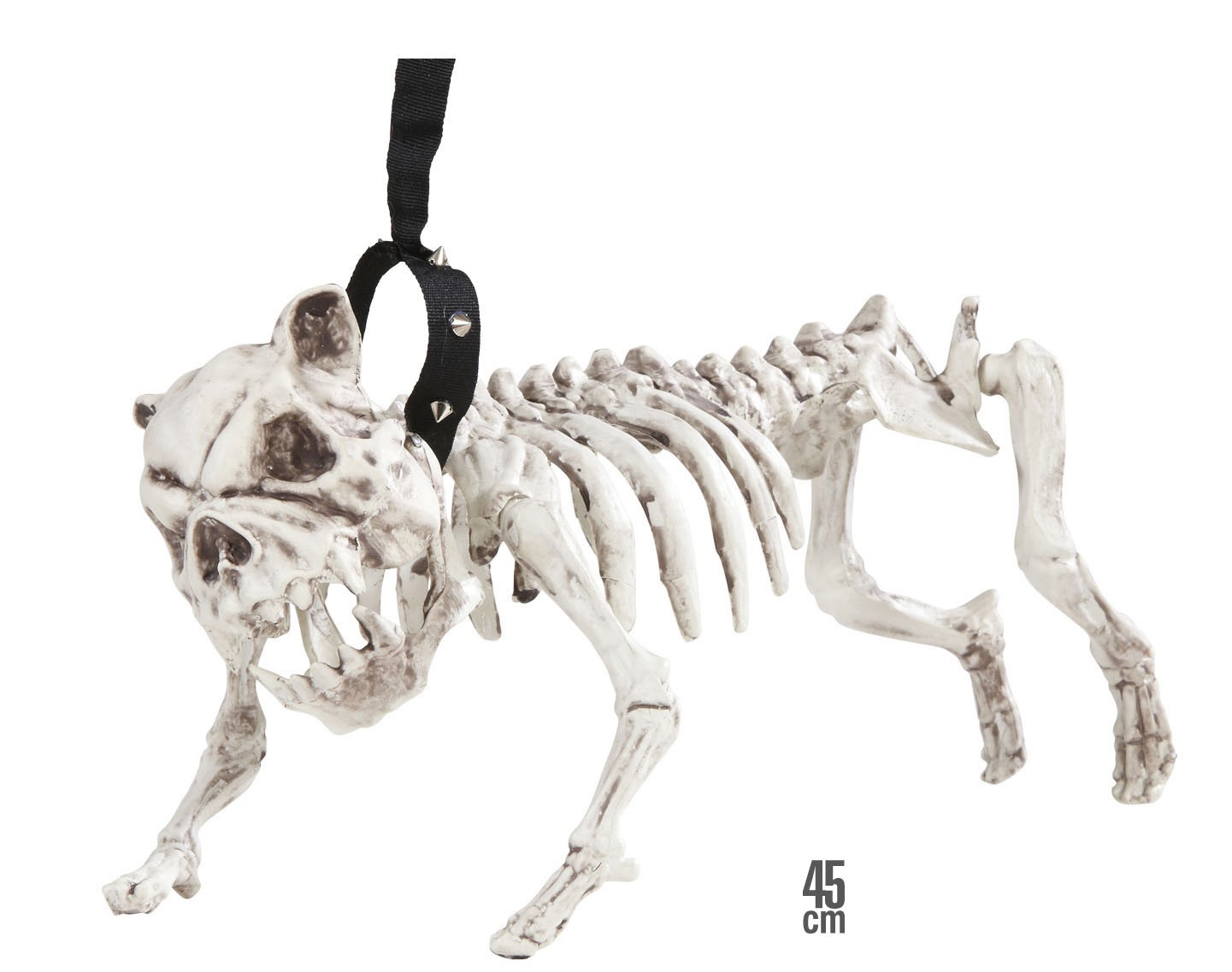 Chien squelette en laisse 45 cm Halloween