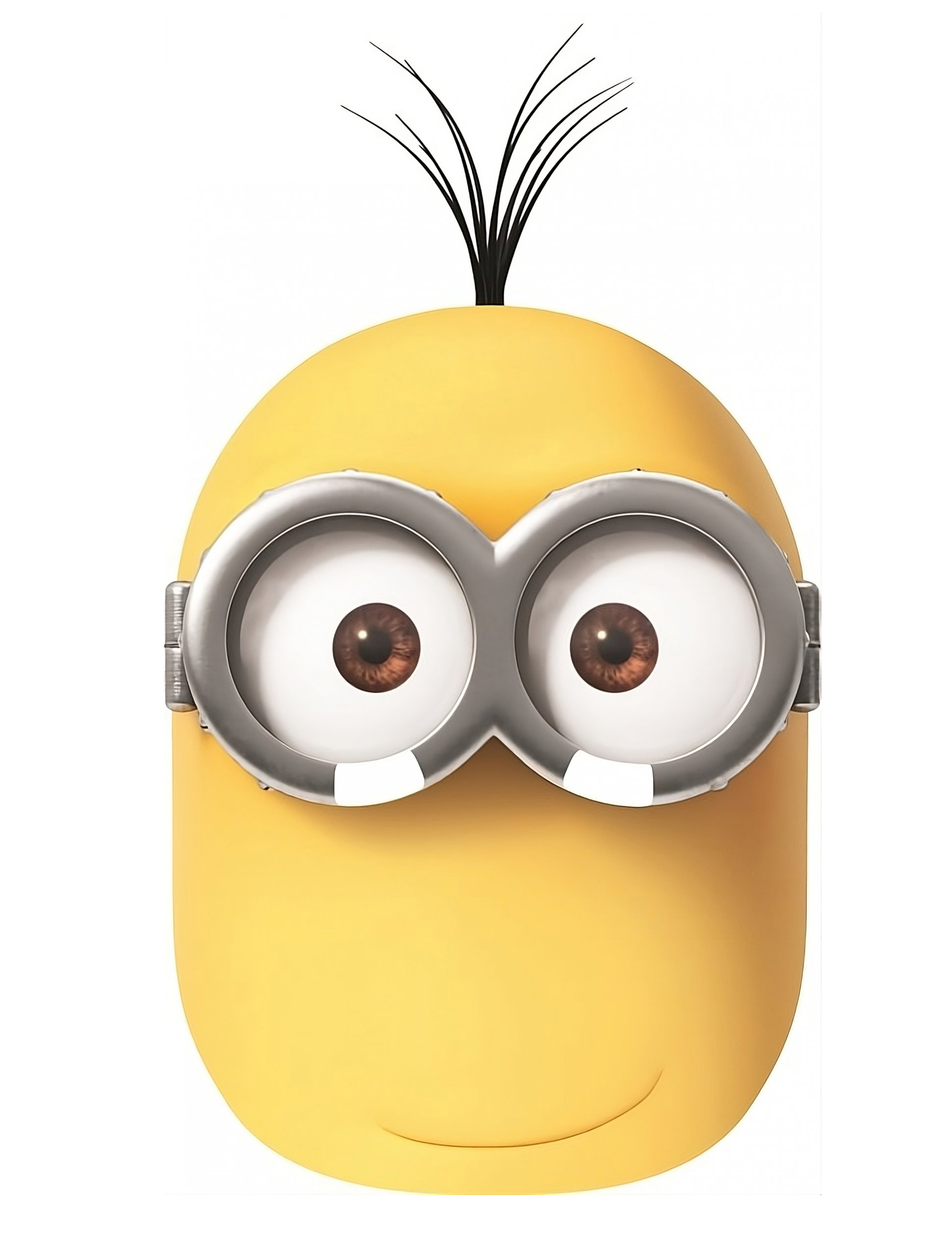 Masque carton Kevin Minions