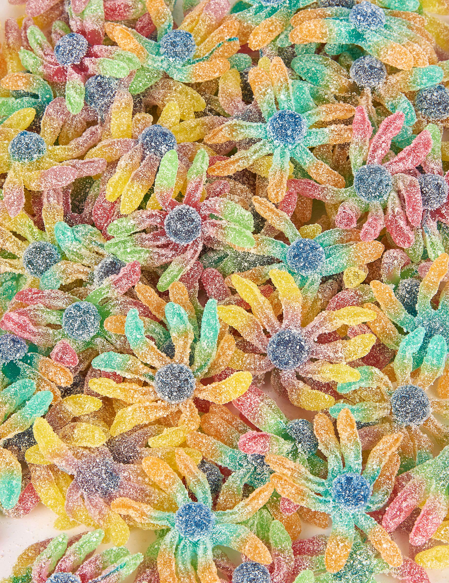 Sachet bonbons poulpes - 1 kg