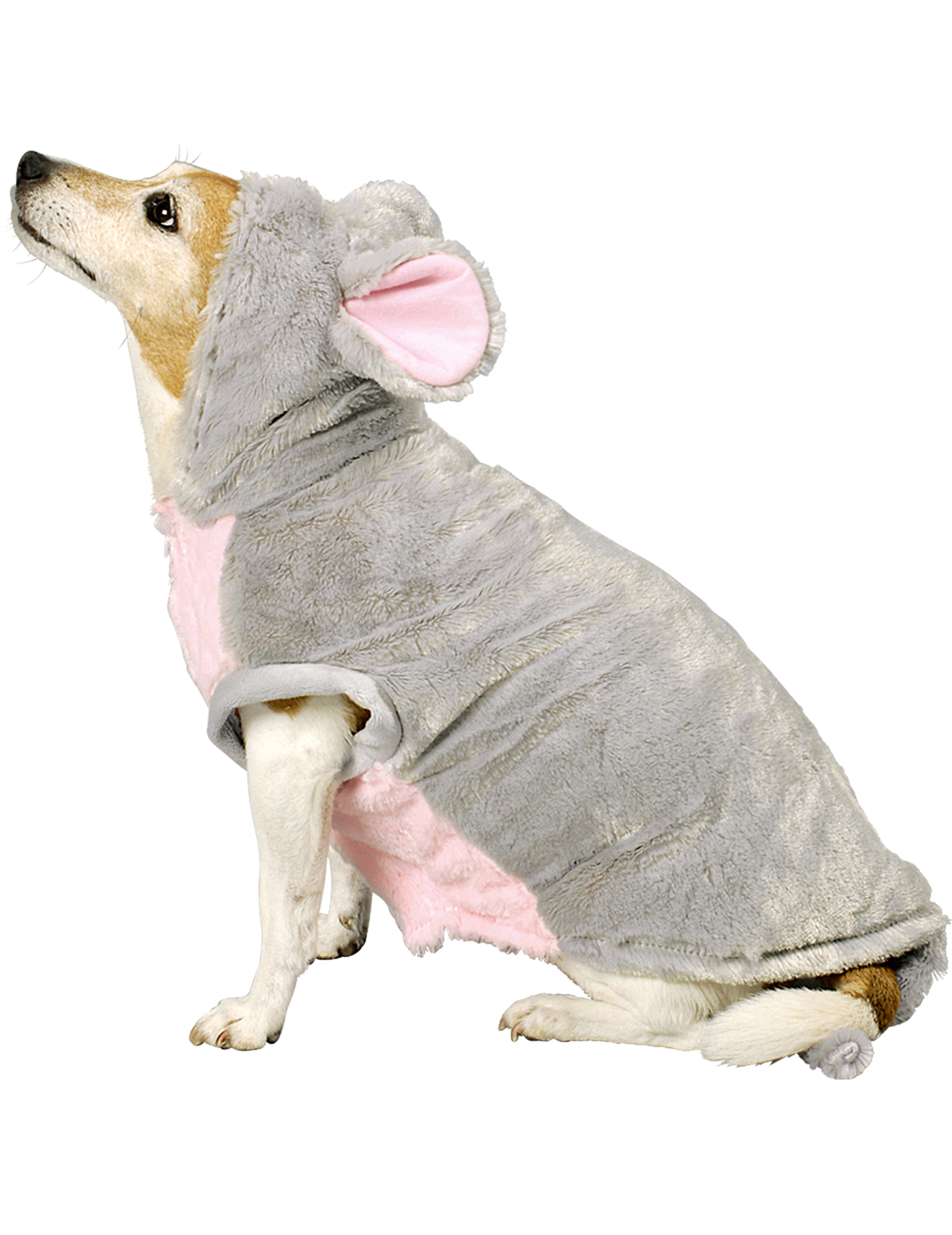 Déguisement souris pour chien