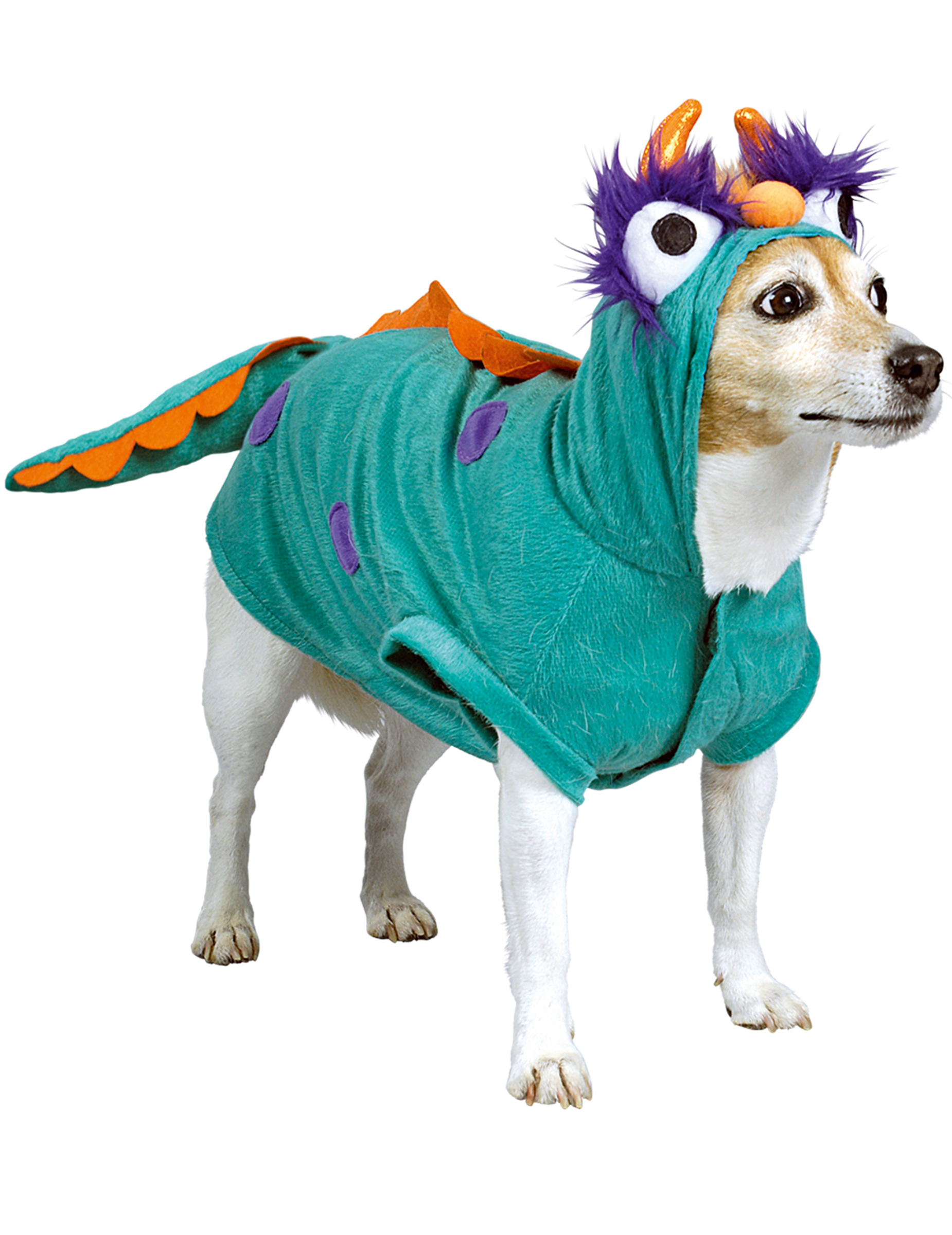 Déguisement petit monstre pour chien