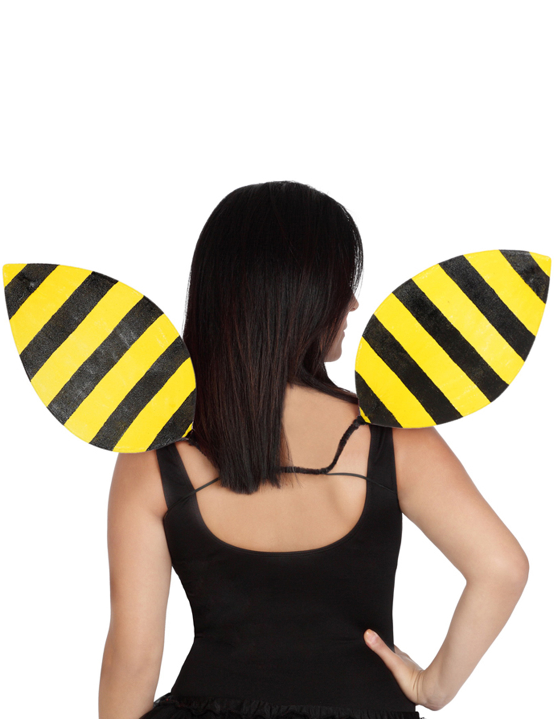 Ailes abeille adulte