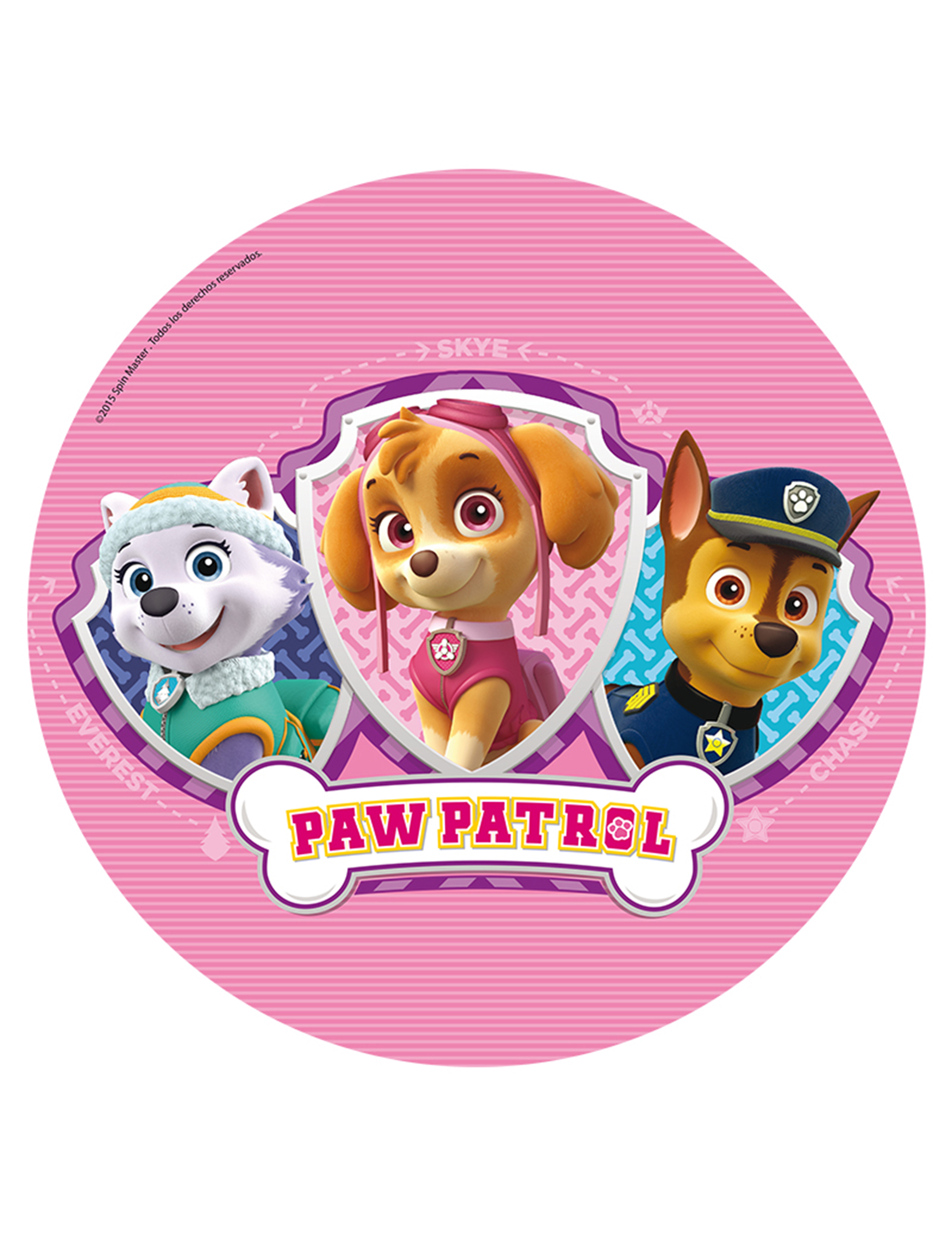 Disques azyme 20 cm Pat'Patrouille - Paw Patrol