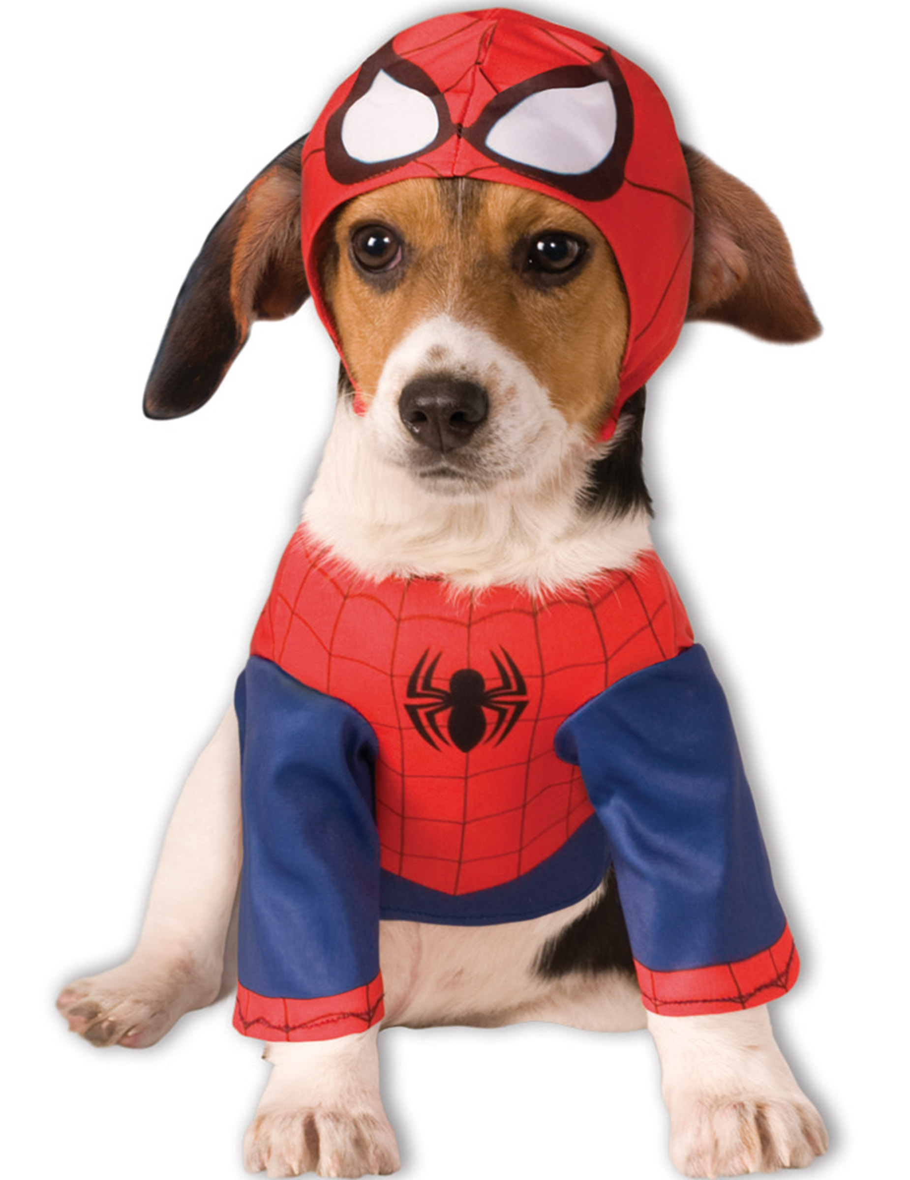 Déguisement Spider-Man chien