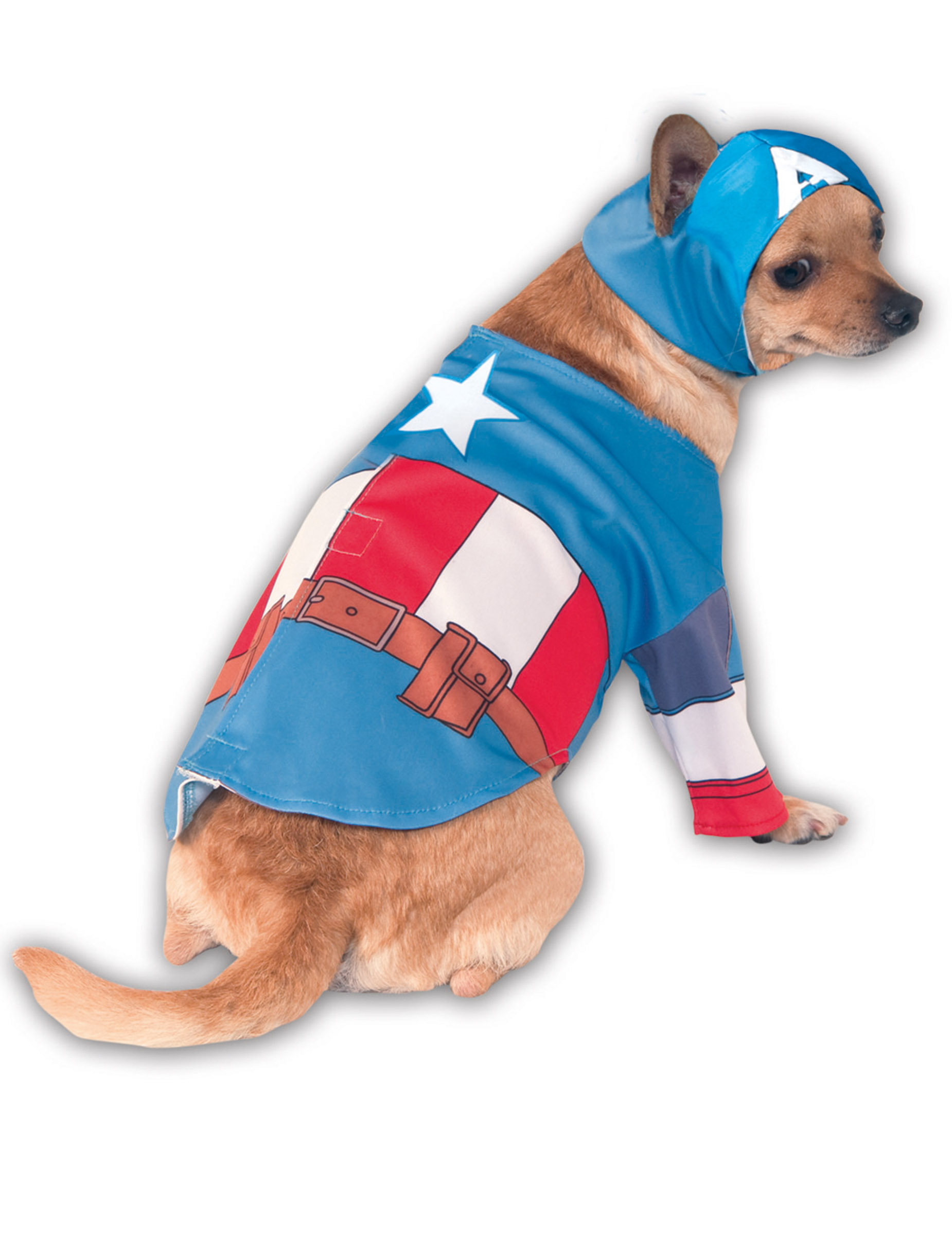 Déguisement pour chien Captain America