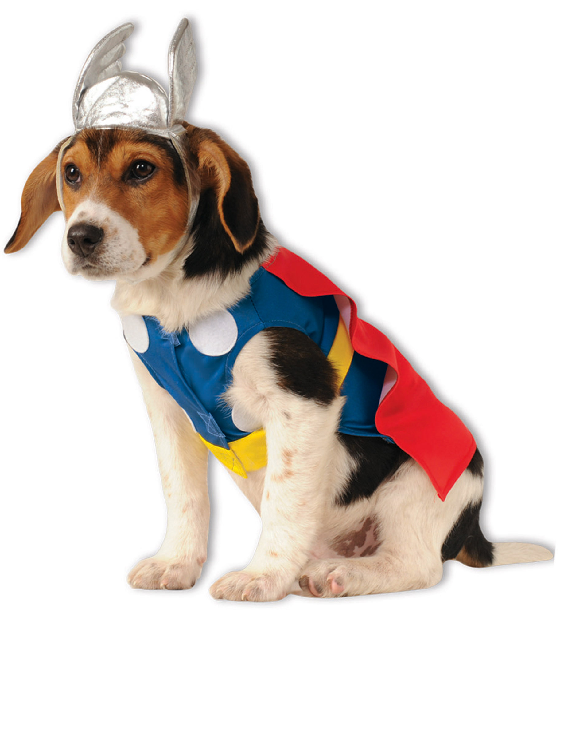 Déguisement pour chien Thor