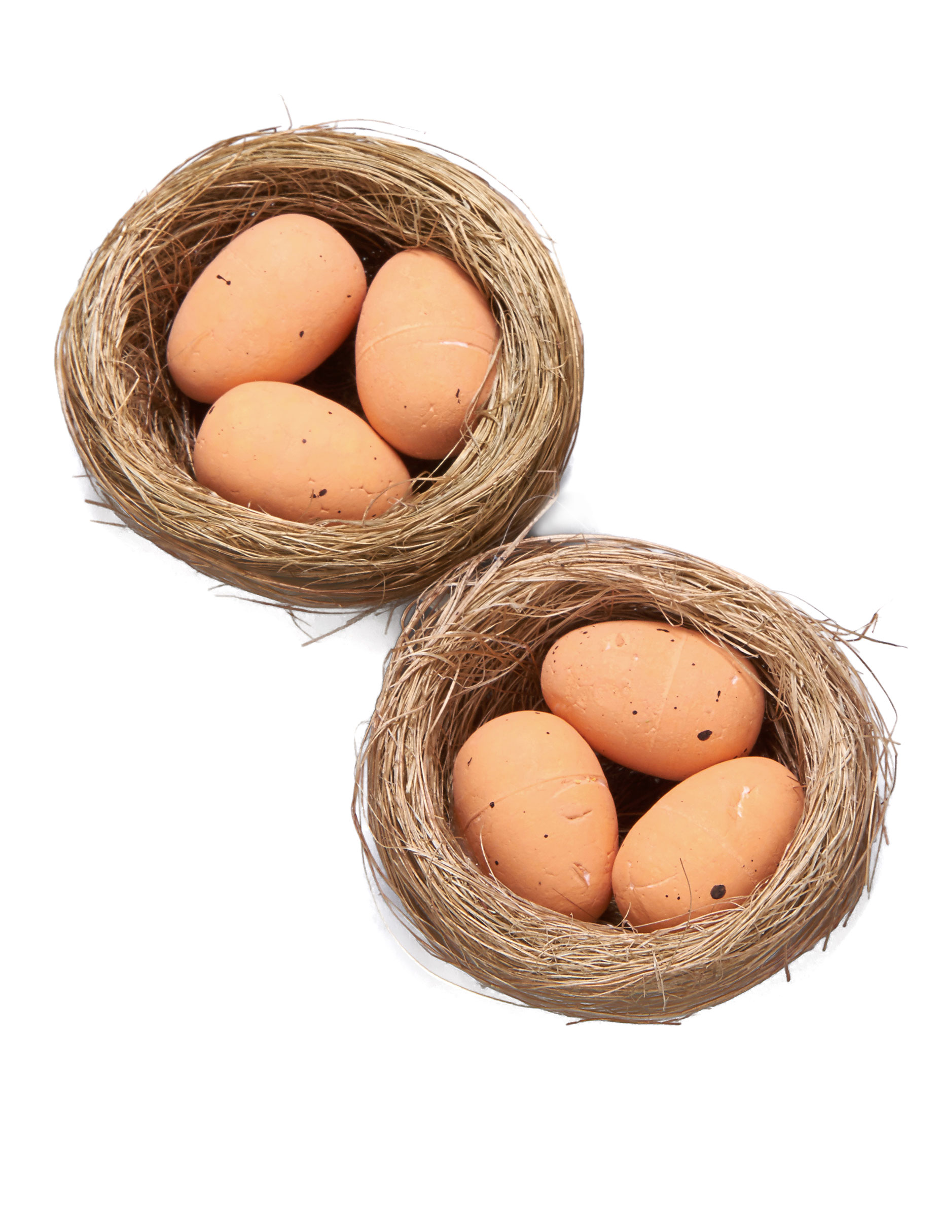 2 Petits nids avec oeufs