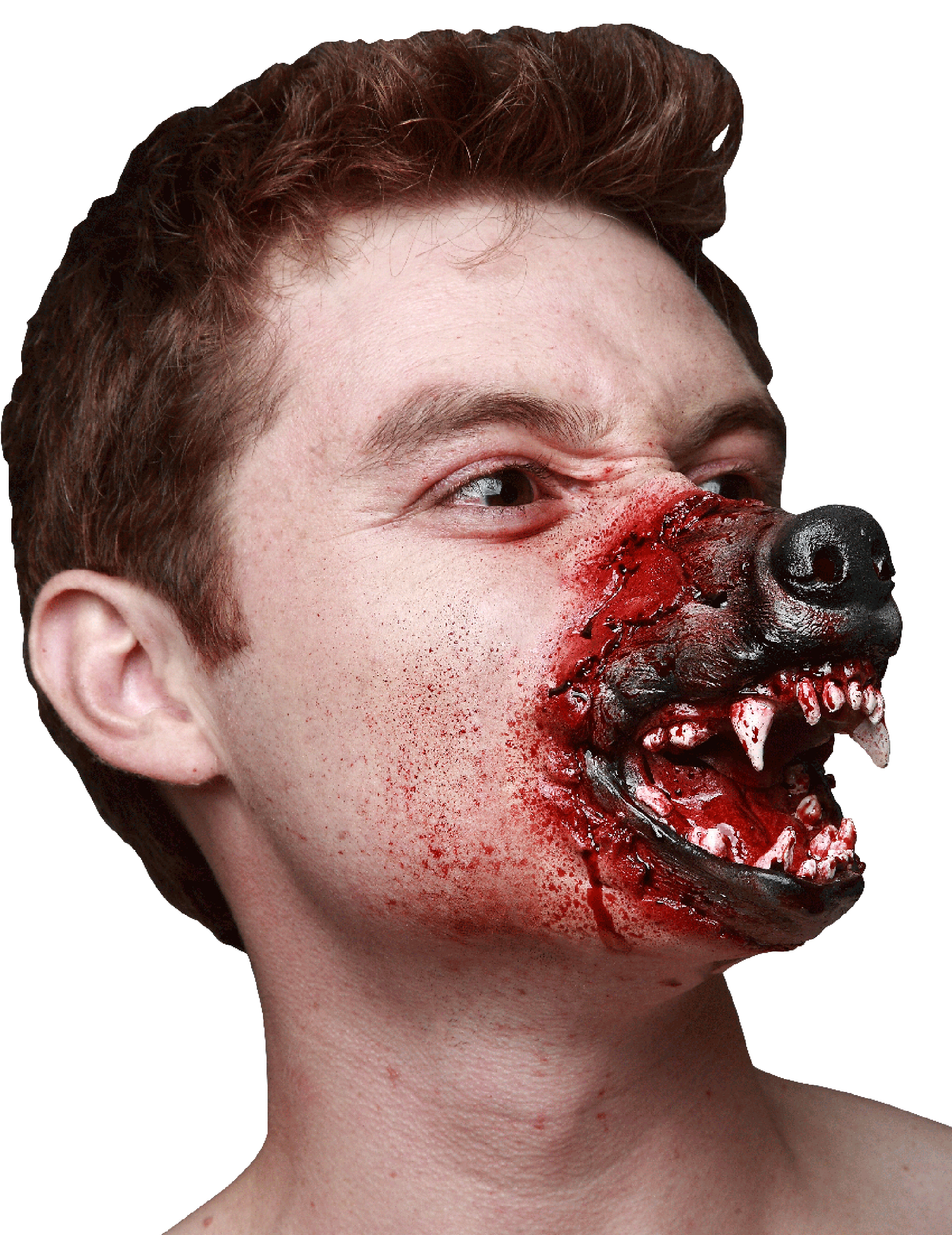 Museau loup garou adulte Halloween