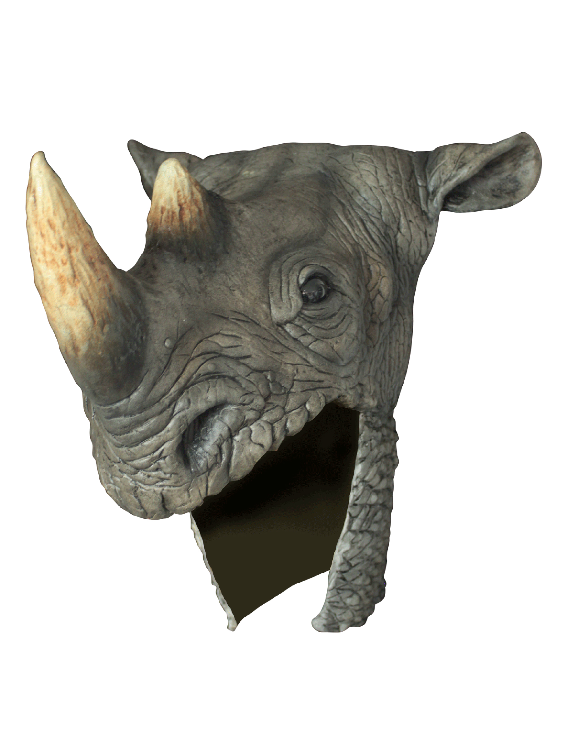 Casque rhinoceros adulte