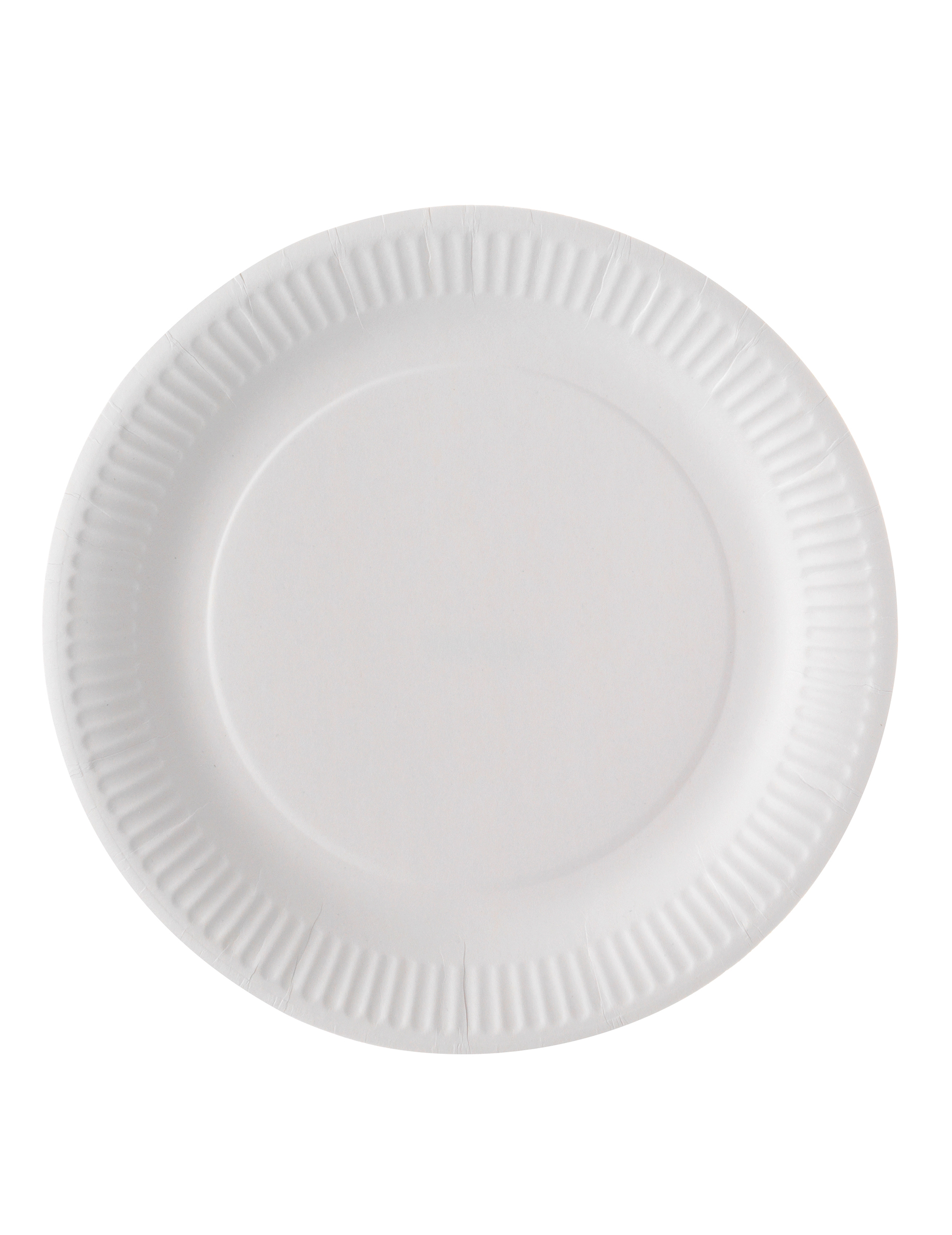 100 Assiettes en carton blanc 23 cm