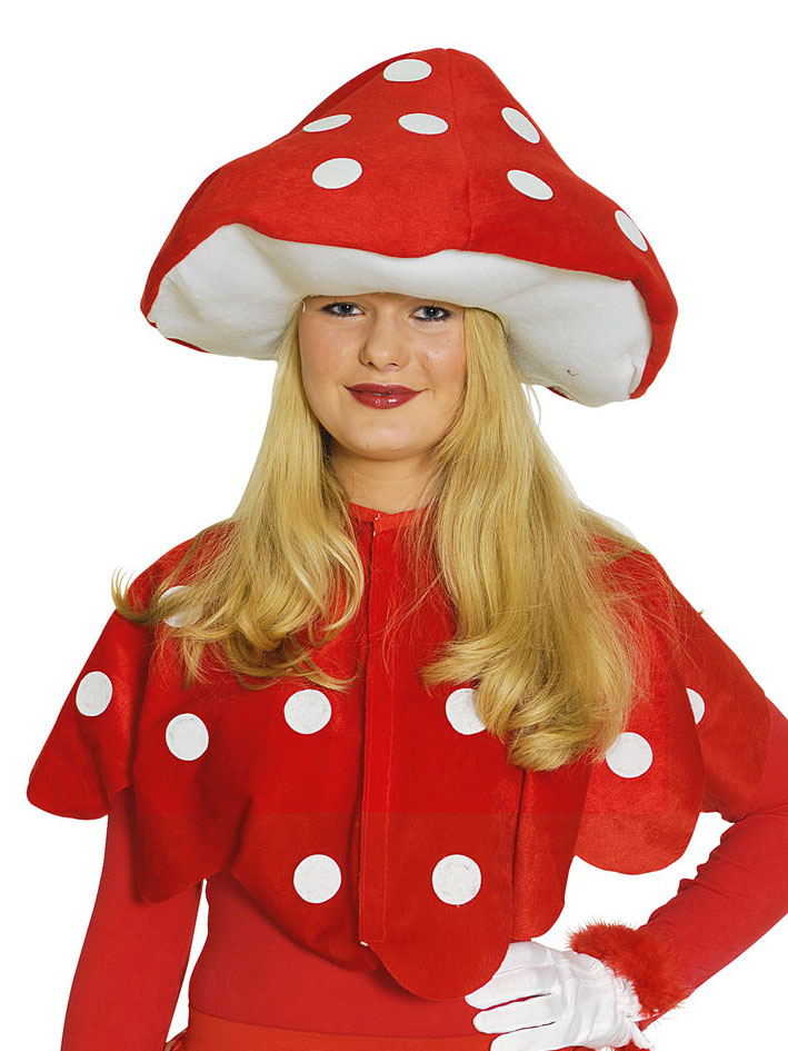 Cape champignon amanite tue mouche