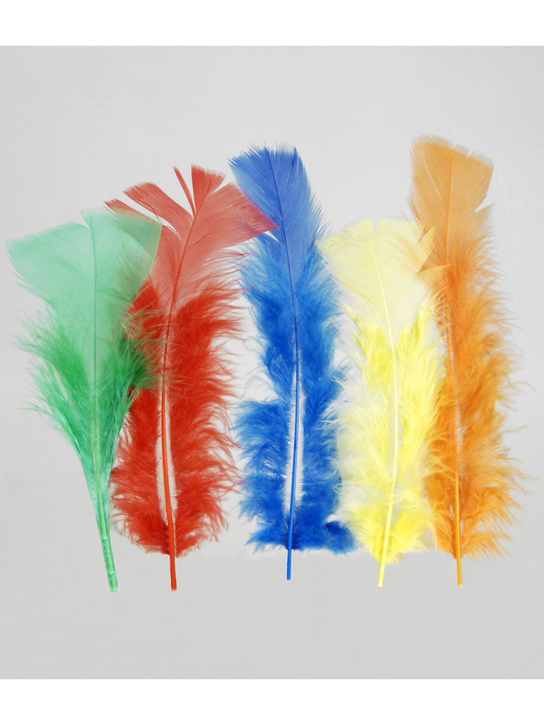 100 plumettes multicolores