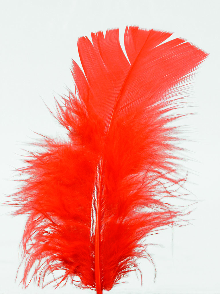 100 plumettes rouges