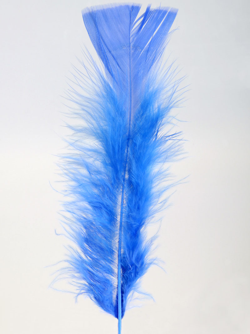 100 plumettes bleues
