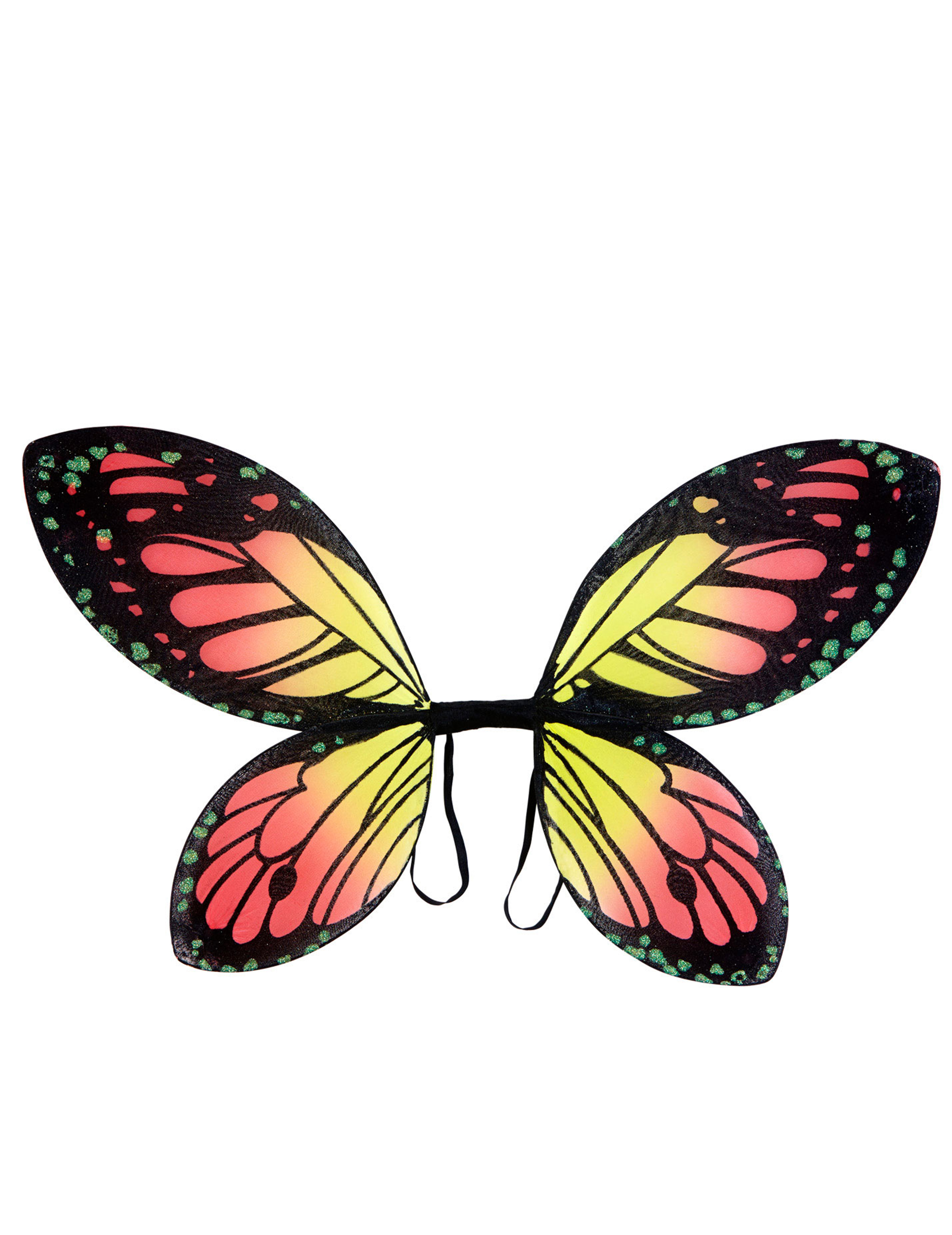 Ailes papillon des couleurs fille
