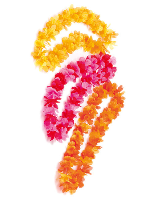 Collier de fleur hawaïen adulte 52 cm