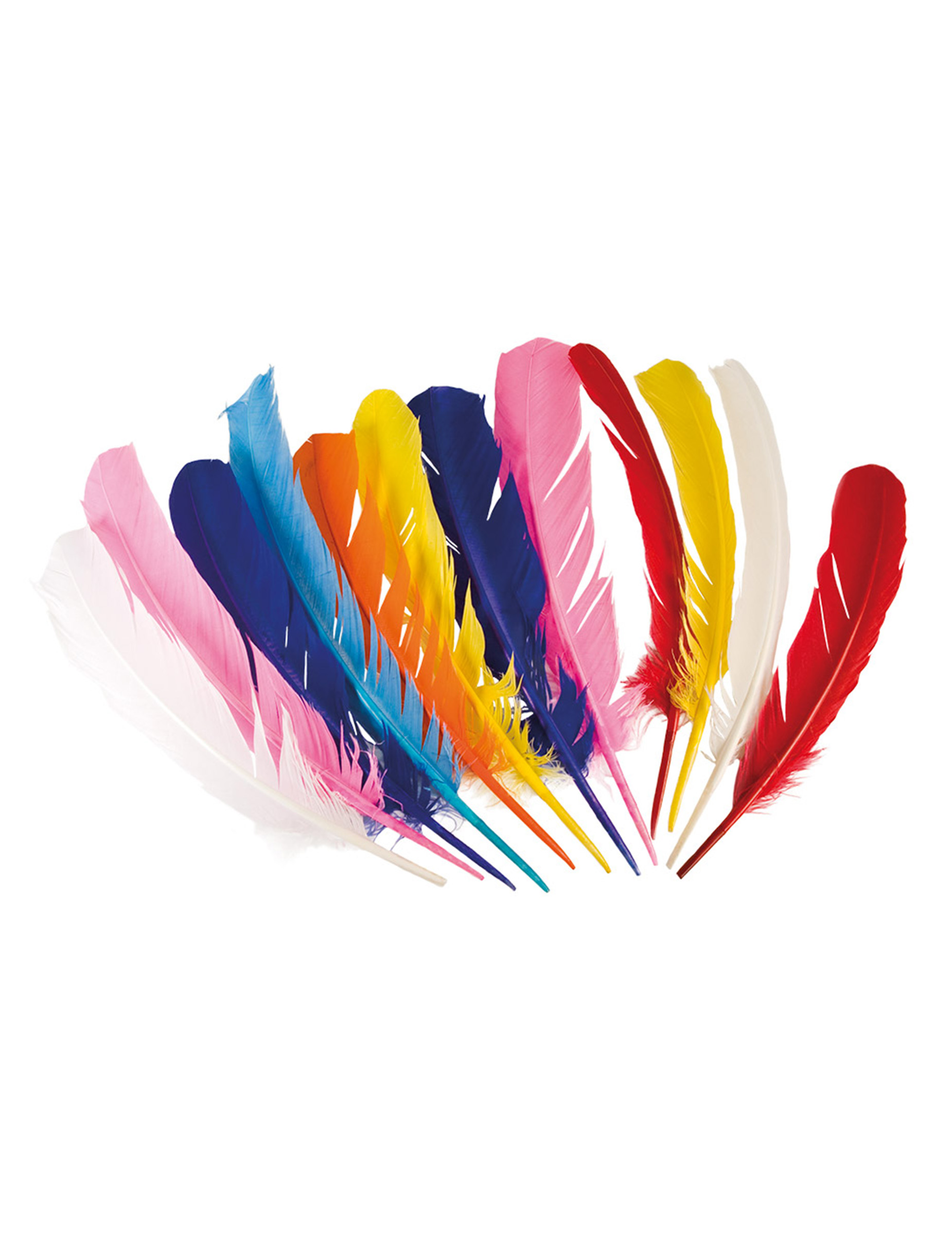 12 Plumes indiennes multicolores 30 cm