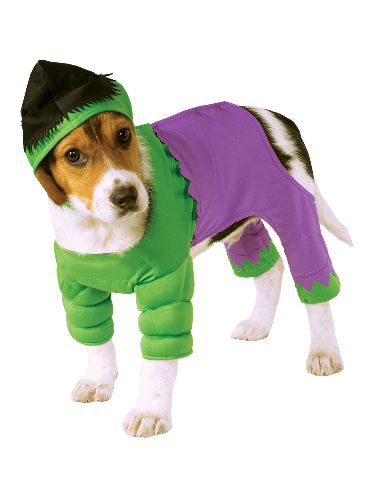 Déguisement pour chien Hulk