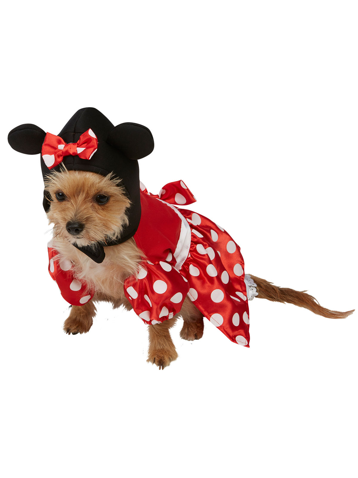 Déguisement pour chien Minnie Mouse