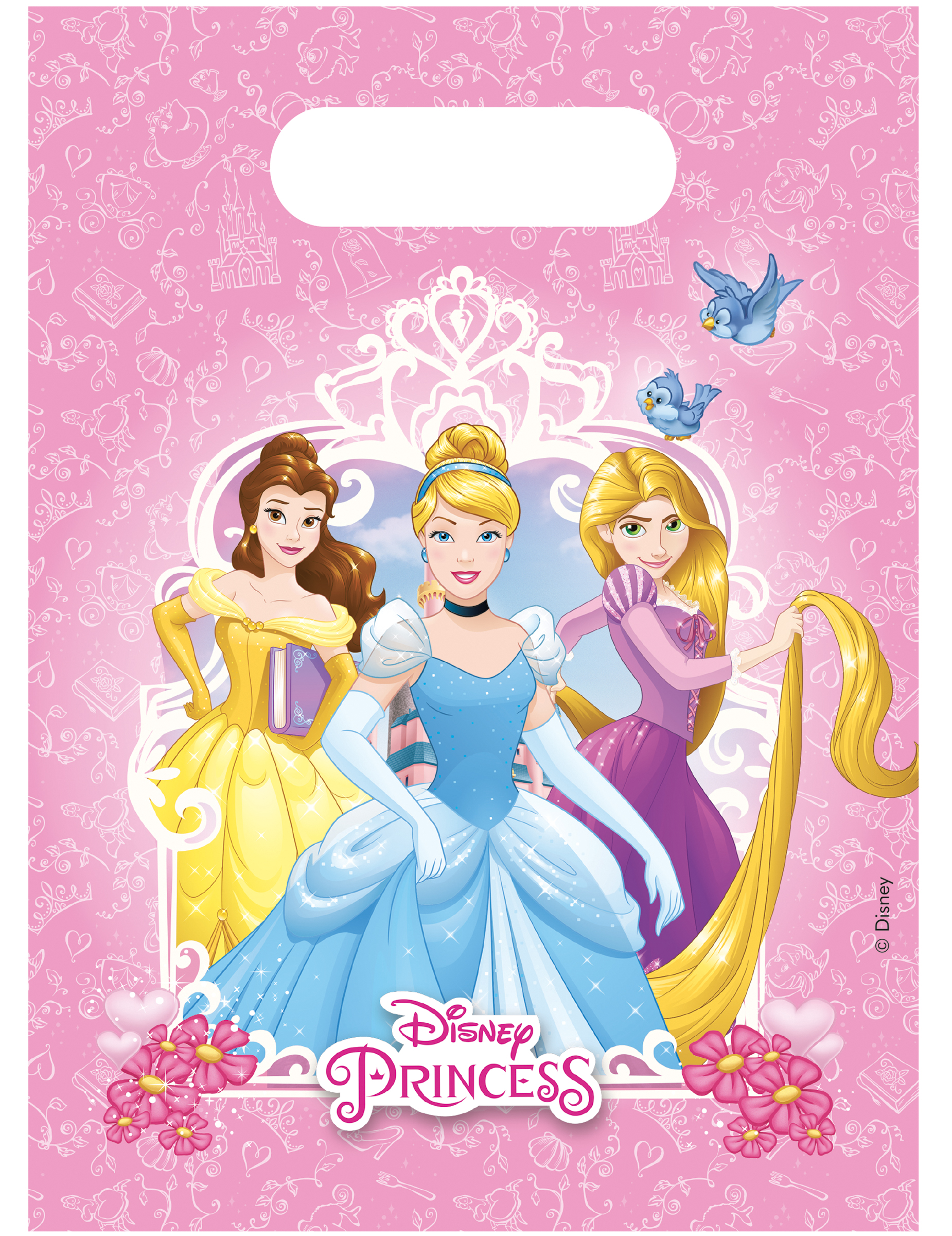 6 Sacs cadeaux Princesses Disney Dreaming
