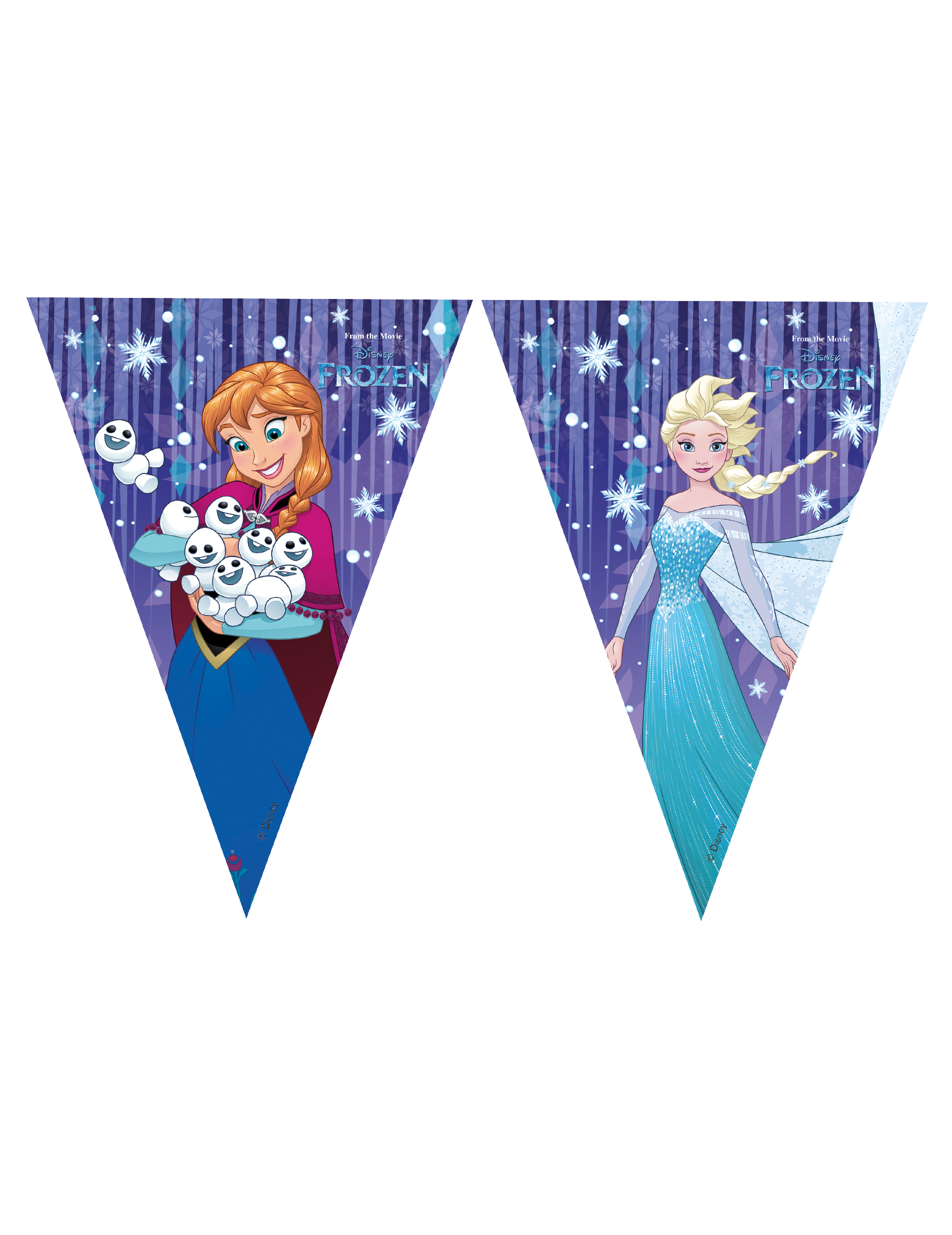 Guirlande fanions La Reine des Neiges Frozen