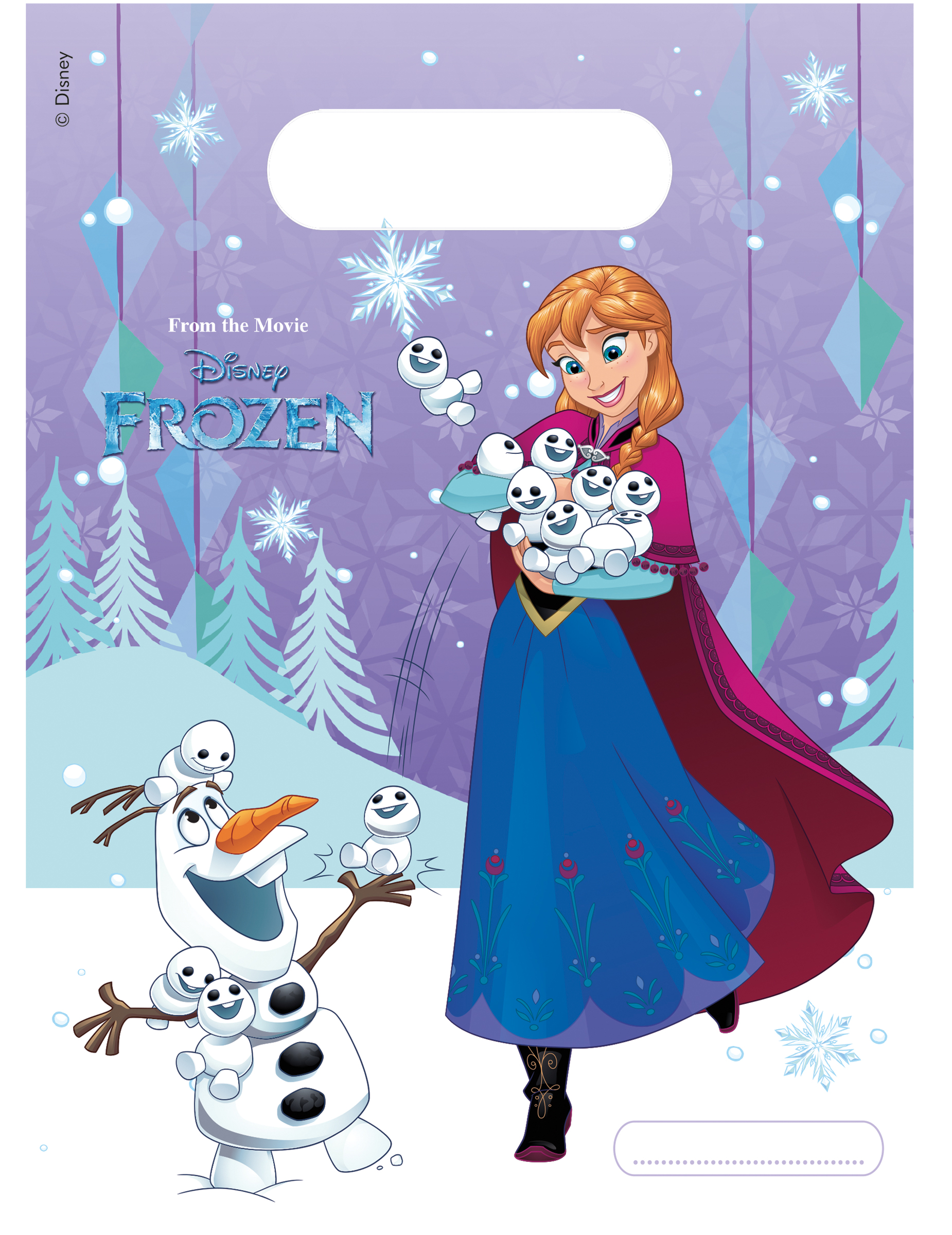 6 Sacs de fête La Reine des Neiges