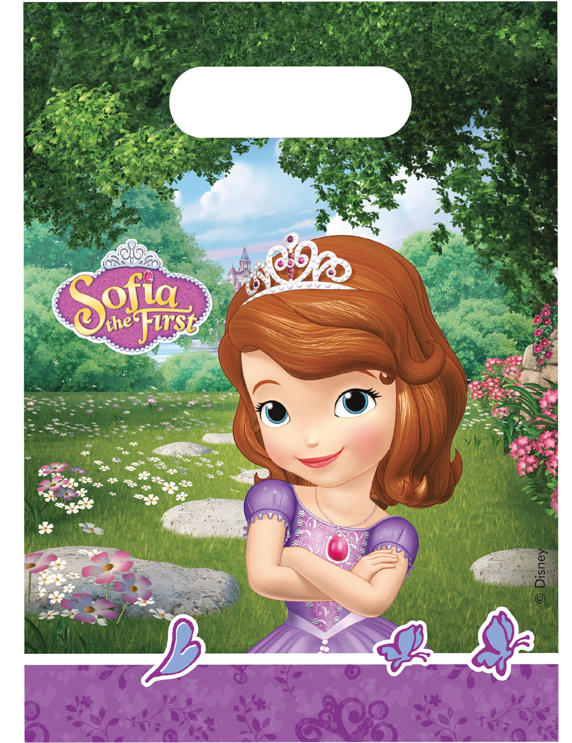 6 Sacs cadeaux Princesse Sofia 16 x 23 cm