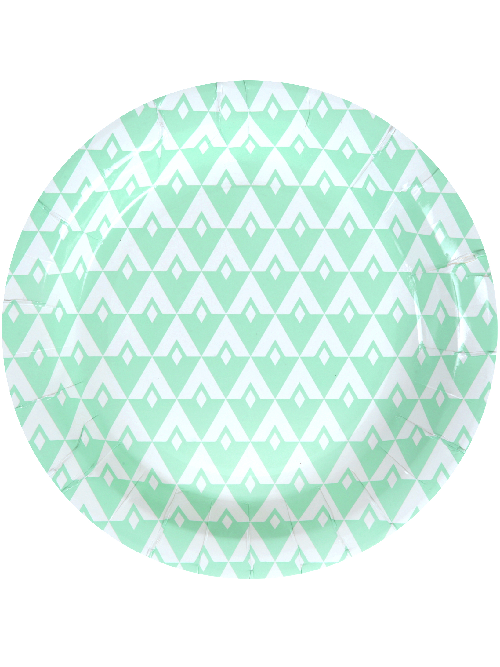 10 Assiettes en carton menthe 22,5 cm