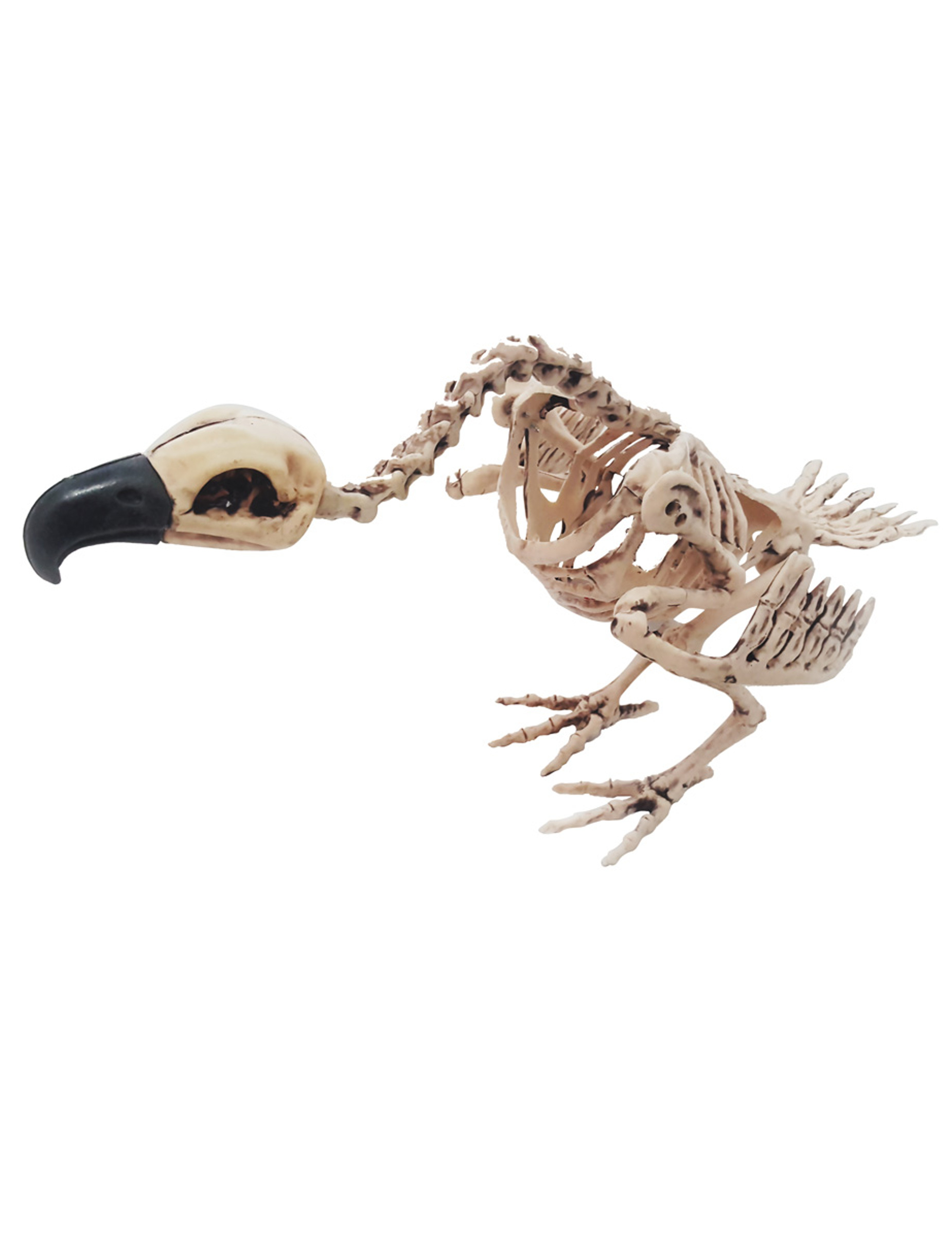 Squelette vautour 44 cm Halloween