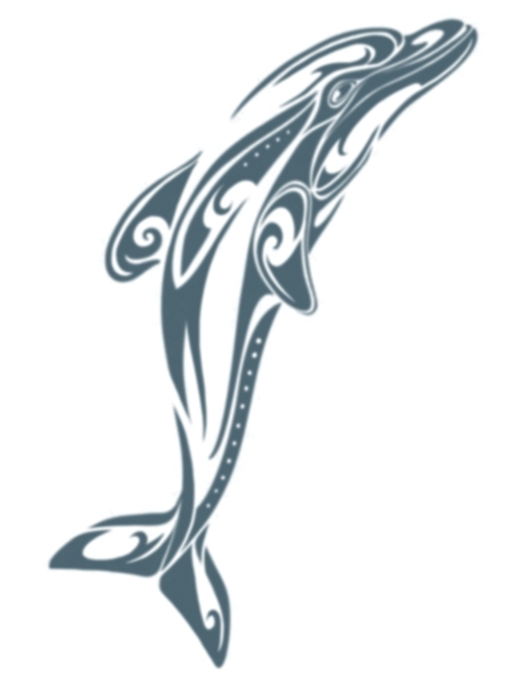 Tatouage ephémere corps dauphin adulte
