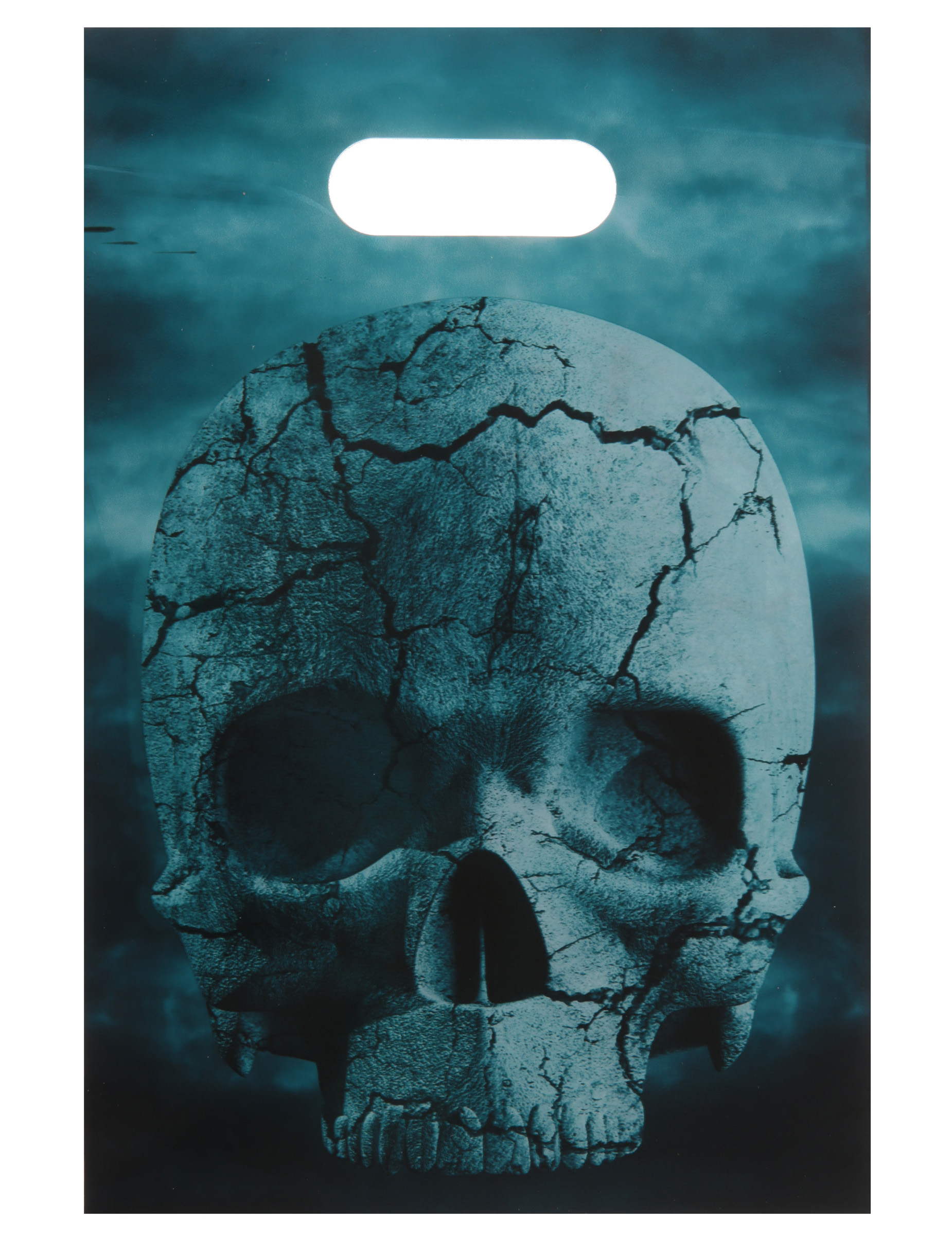 10 Sachets plastique Nuit d'horreur 16 x 23 cm