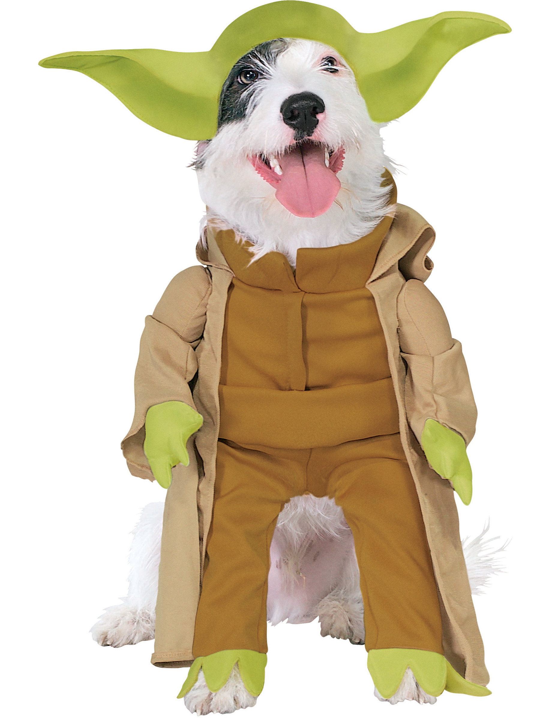 Déguisement Maître Yoda chien