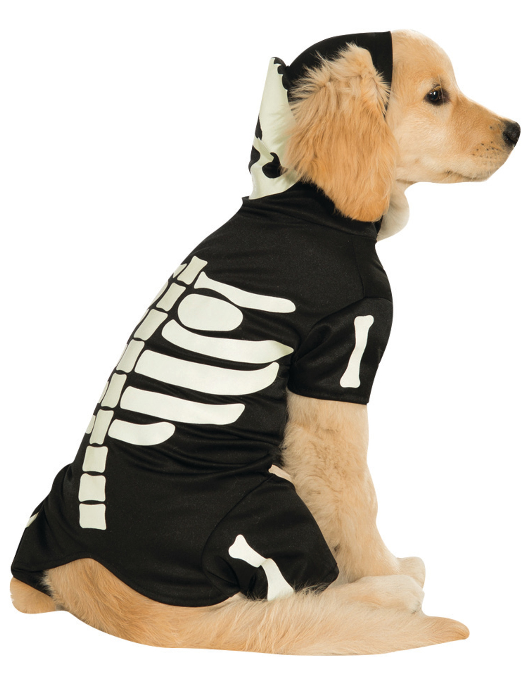 Déguisement pour chien squelette phosphorescent