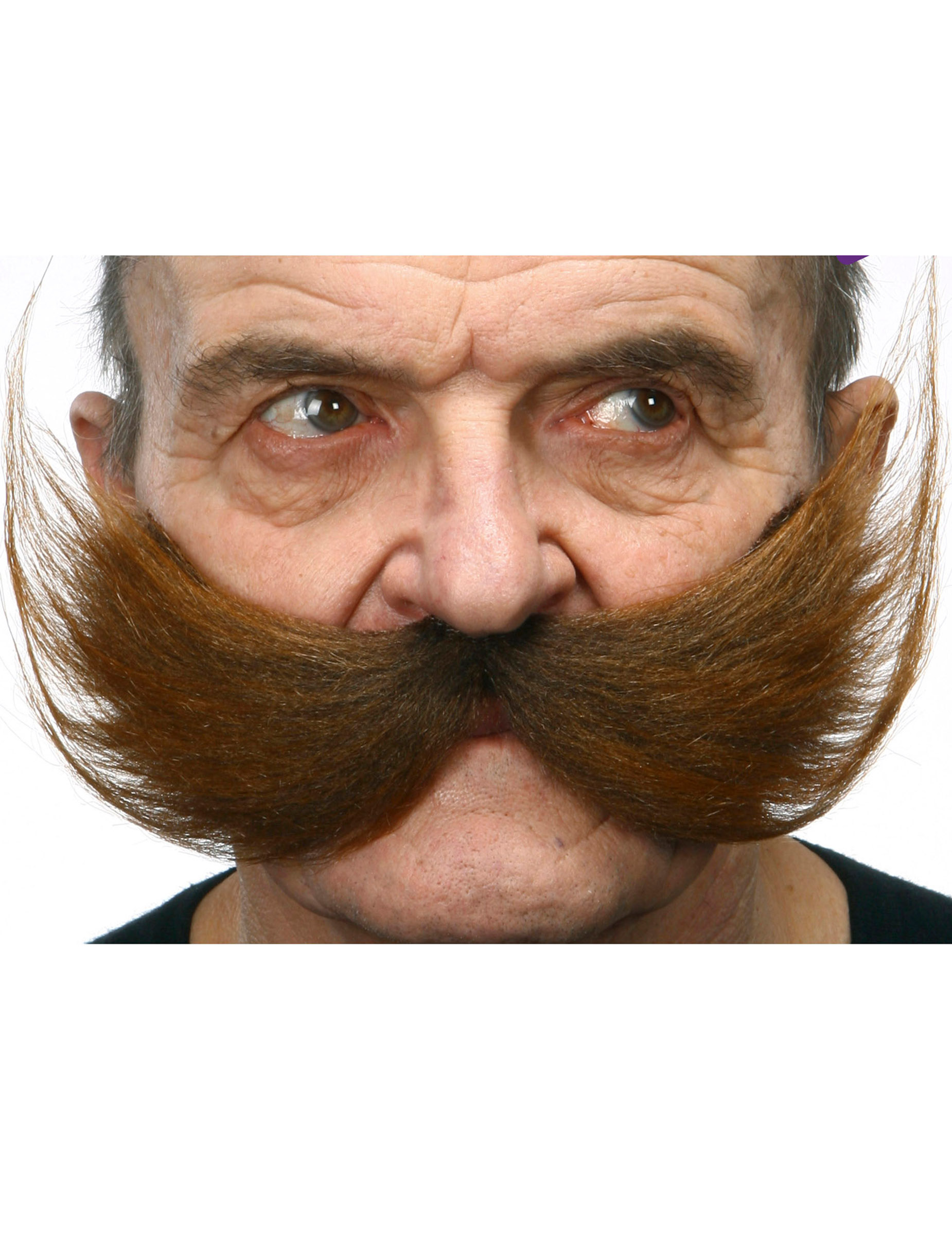 Moustache large marron adulte