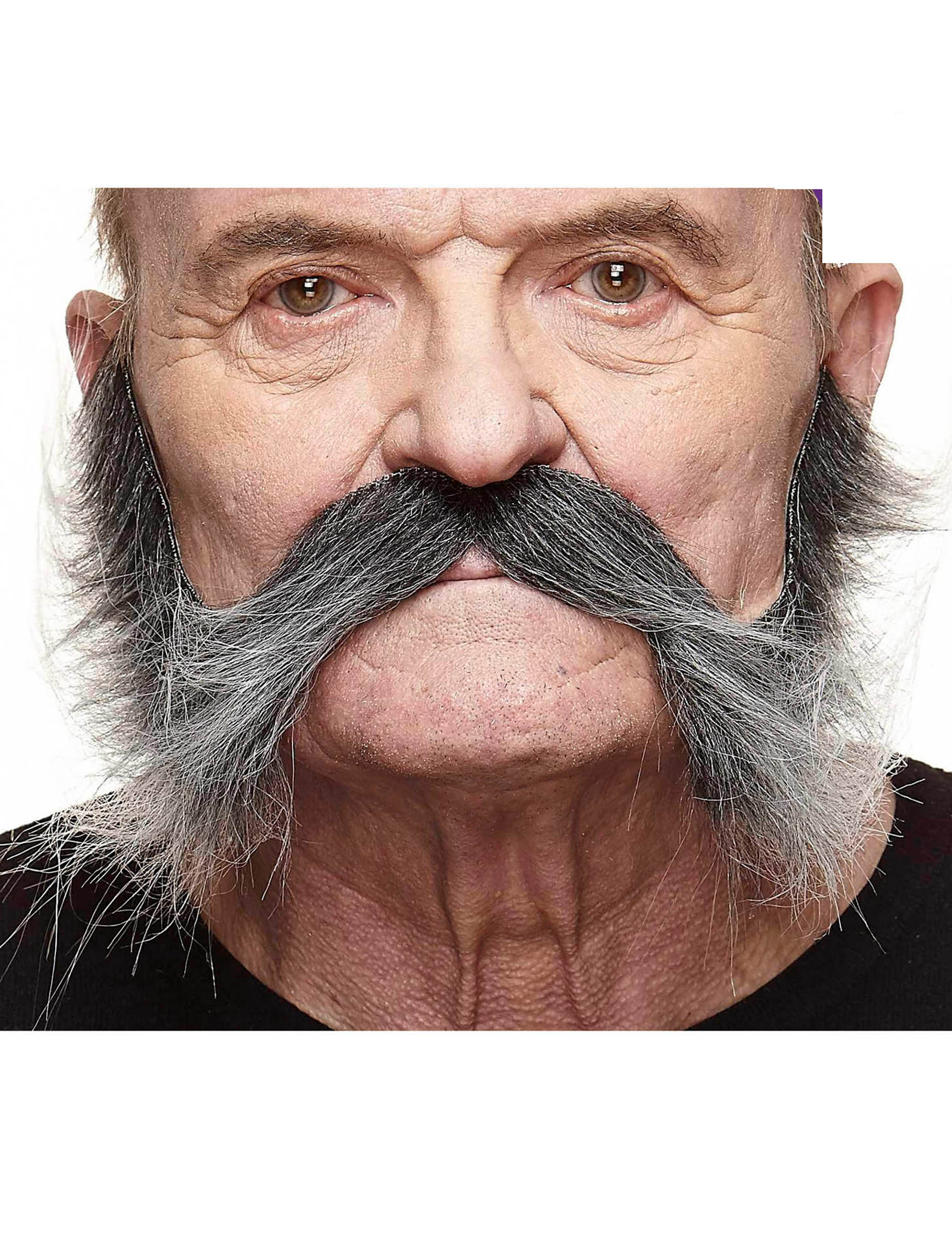 Moustache avec pattes grisonnante homme