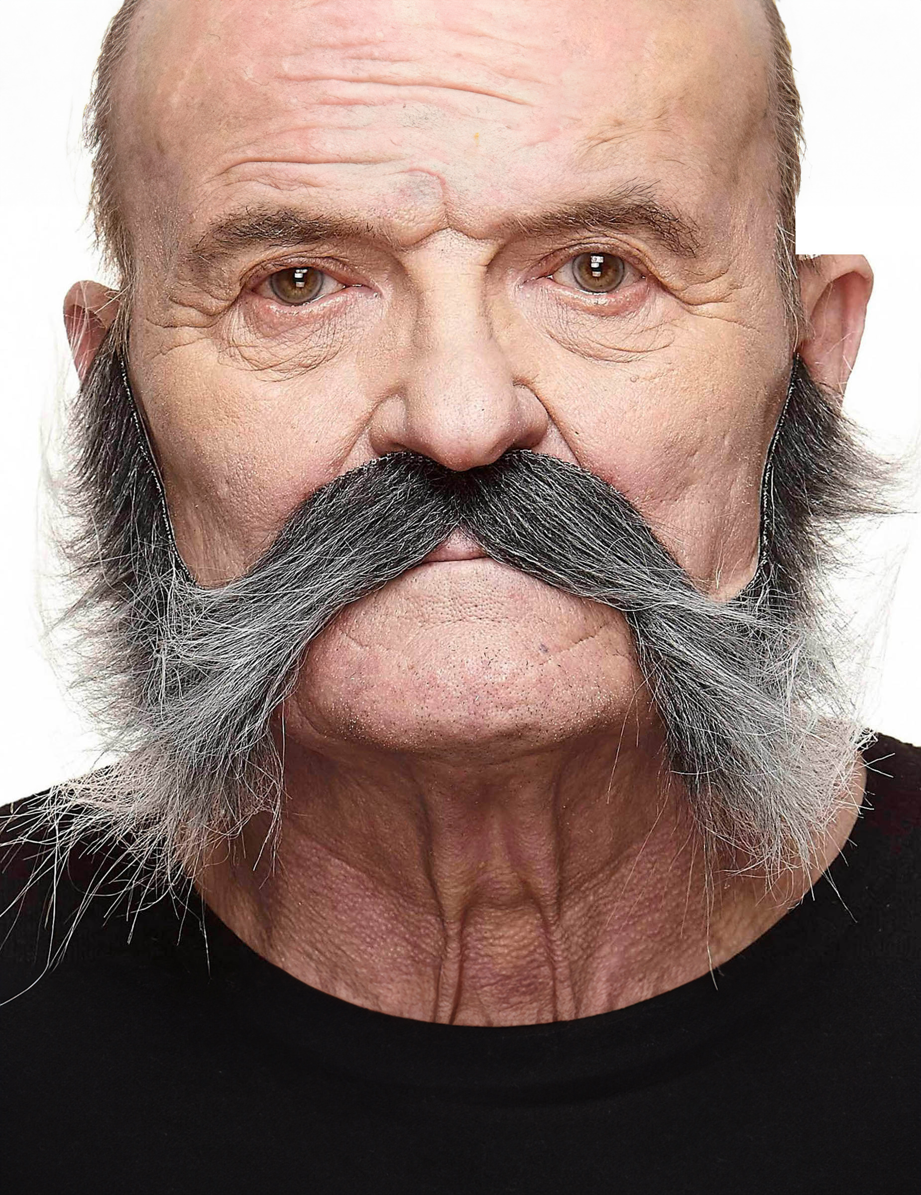 Moustache avec pattes grisonnante homme