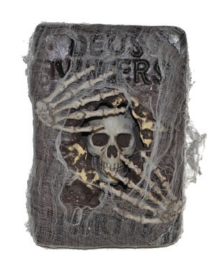 Livre sorcier avec toile d'araignées 30 x 20 cm