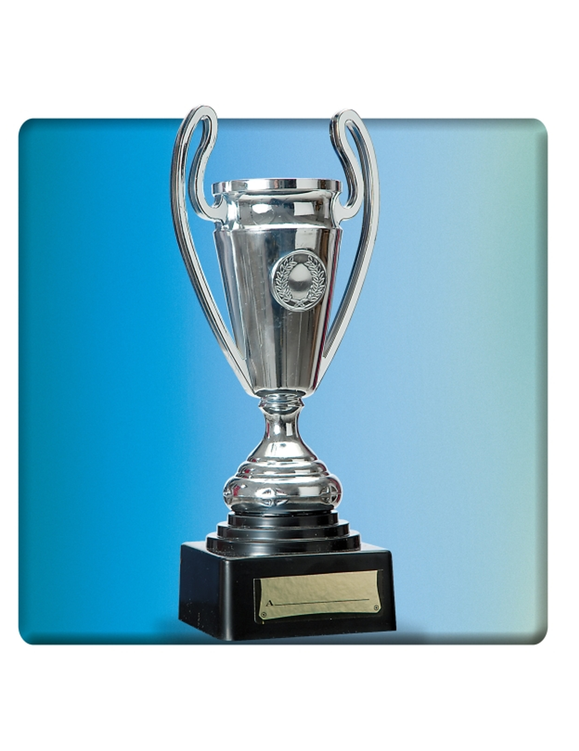 Trophée argenté 24 cm