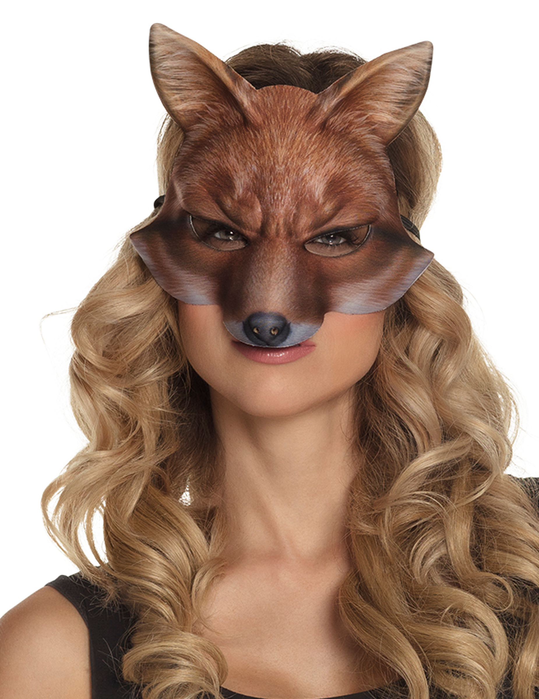 Loup renard adulte