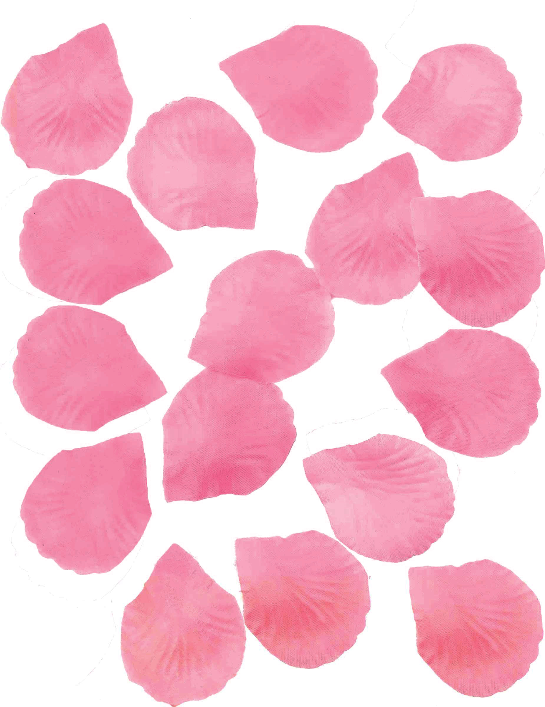 288 Pétales de roses fuschia