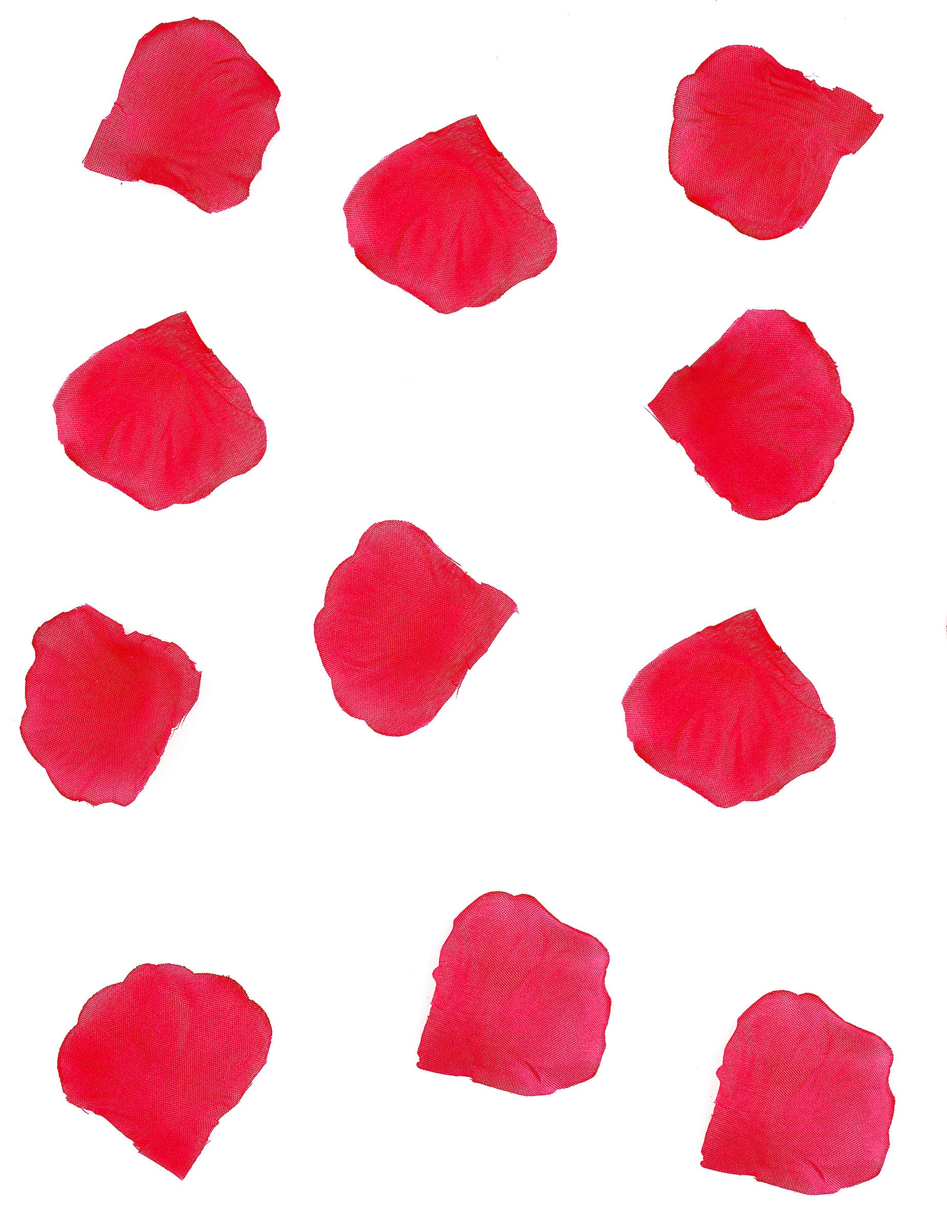 288 Pétales rouges