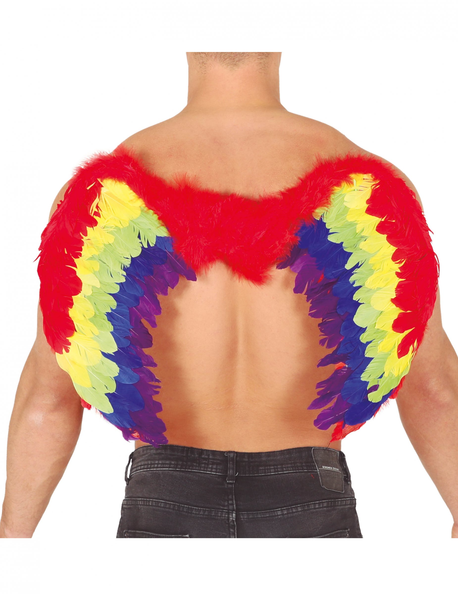 Ailes plumes phoenix multicolores 80 X 50 cm